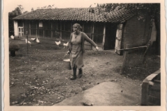 Datering 1948.