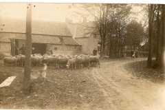 Datering 1920.