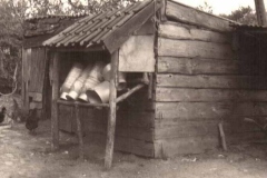 Datering 1960.