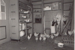 Datering 1980. dames van Kessel.